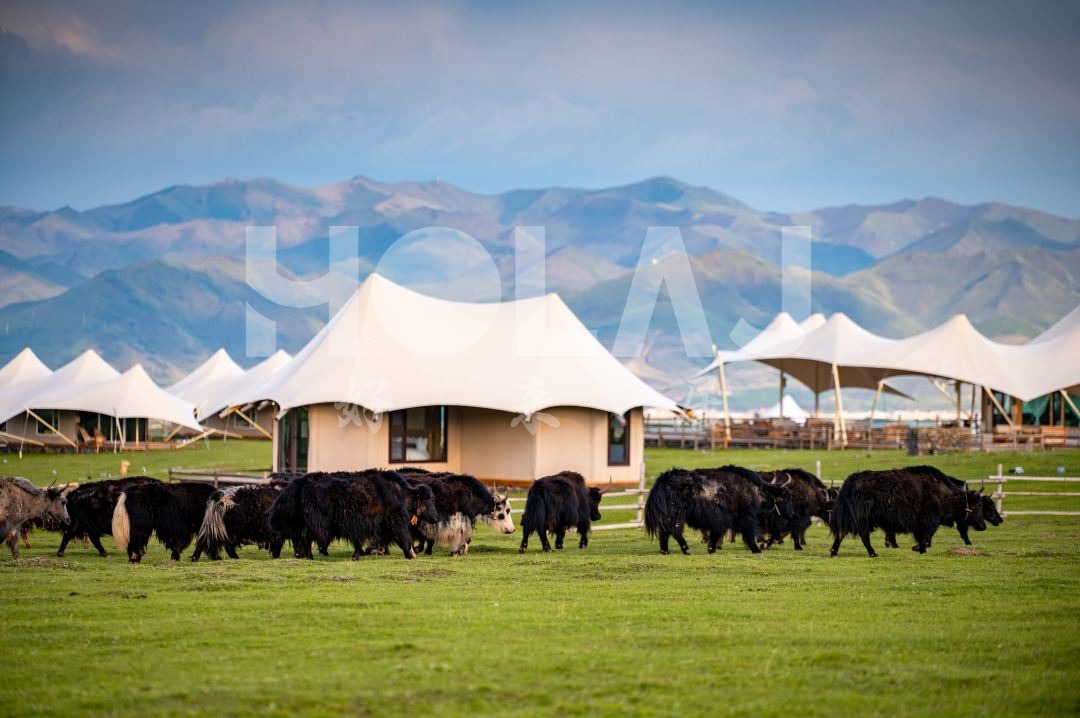 如何將當地文化融入酒店帳篷設計，讓你體驗真正的異國風情